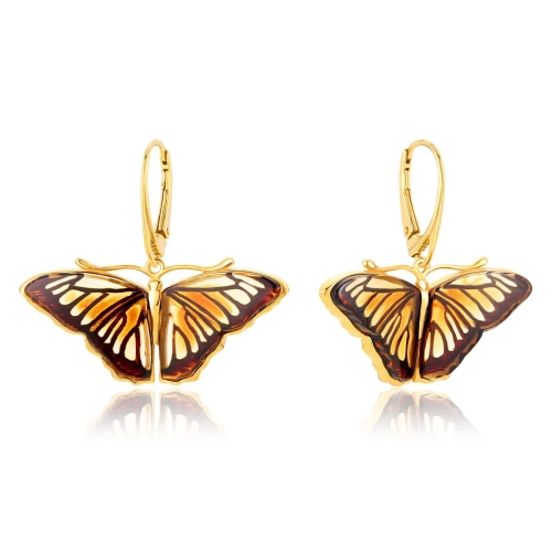 5282b76c85f08398095ec55fb76e981d