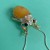 b41e58ccc672a7b05ad7c1b2c7c4ab17