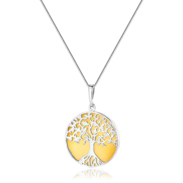 cccd8ec80e243931899503d9f606bb2d